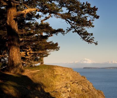 Ron Hall property Saturna Island