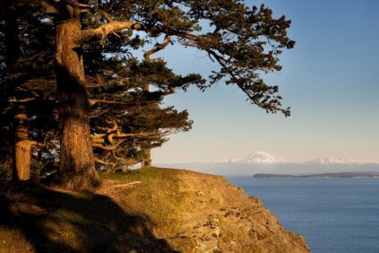 Ron Hall property Saturna Island